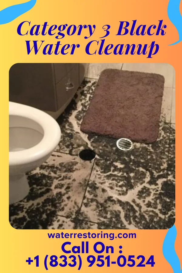 Category 3 Black Water Cleanup in Blende, CO
