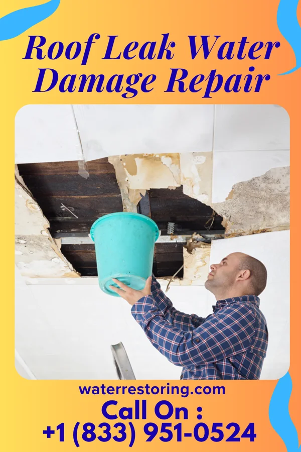 Roof Leak Water Damage Repair in Blende, CO